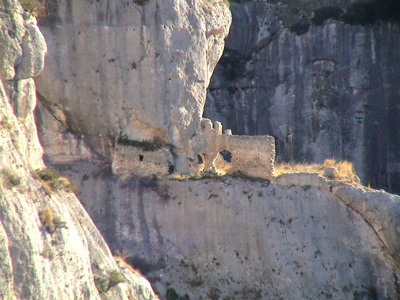 Lanario - Falco biarmicus